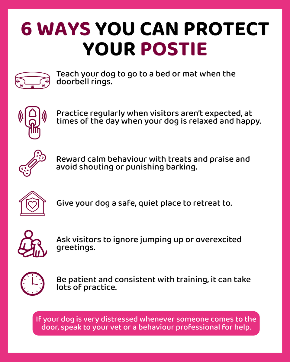 PDSA_HQ's tweet photo. Does your dog go into full alert mode when the doorbell rings or the post arrives? 

Vet Nurse, Shauna, says this behaviour is normal, but if left unchecked it can become stressful and, in some cases, lead to biting. 

Here are our top tips ⬇️ 

#DogAwarenessWeek2026 https://t.co/8jBYQW5SuK
