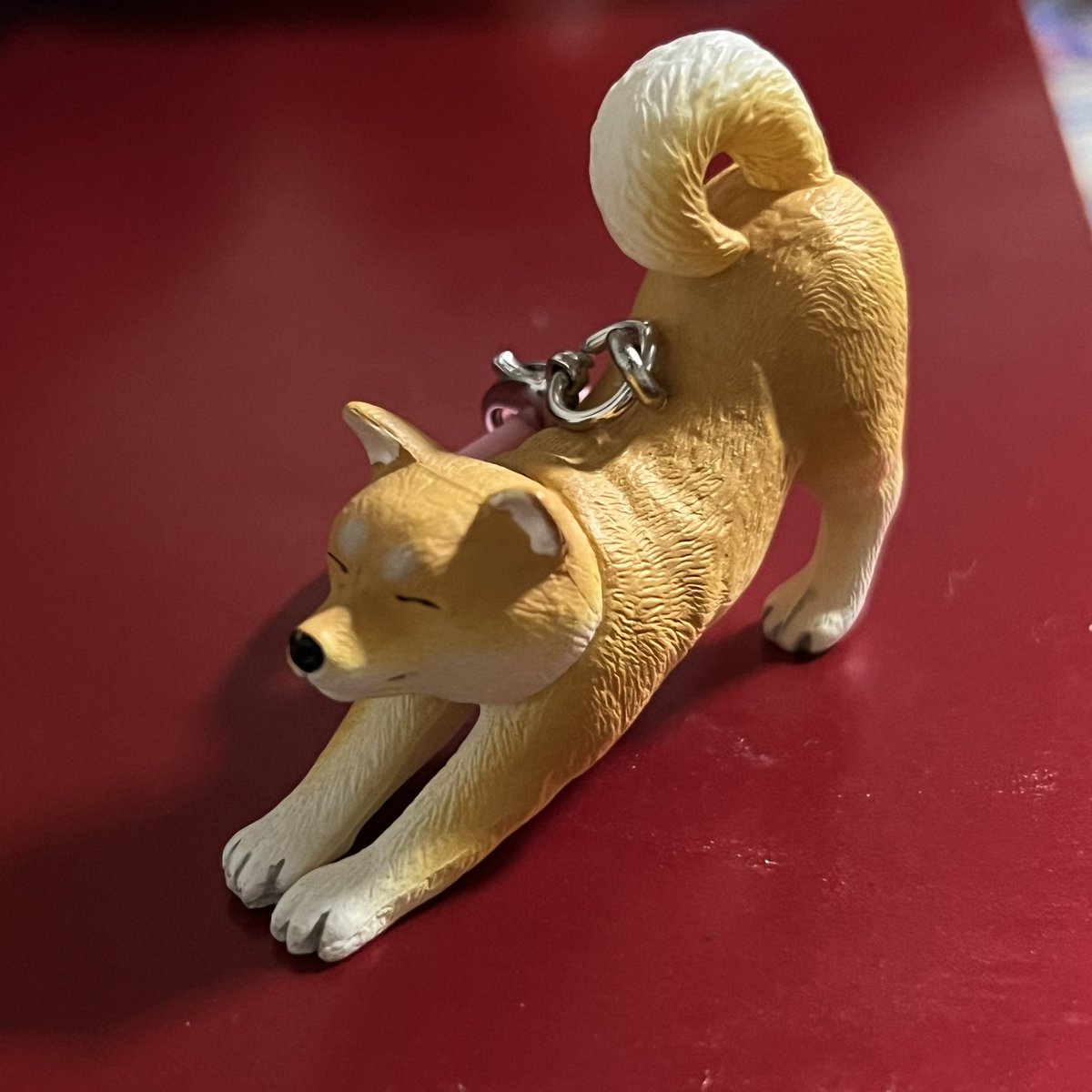 ___ayumi324's tweet photo. レジ並んでる時横見たら目が合っためじるしアクセサリー。
一発で柴当てるあたり最高🫶🏻
むーーーーーっちゃ可愛い🫶🏻

名札に付けよ🤭❤️ https://t.co/VSXs4zMZrq