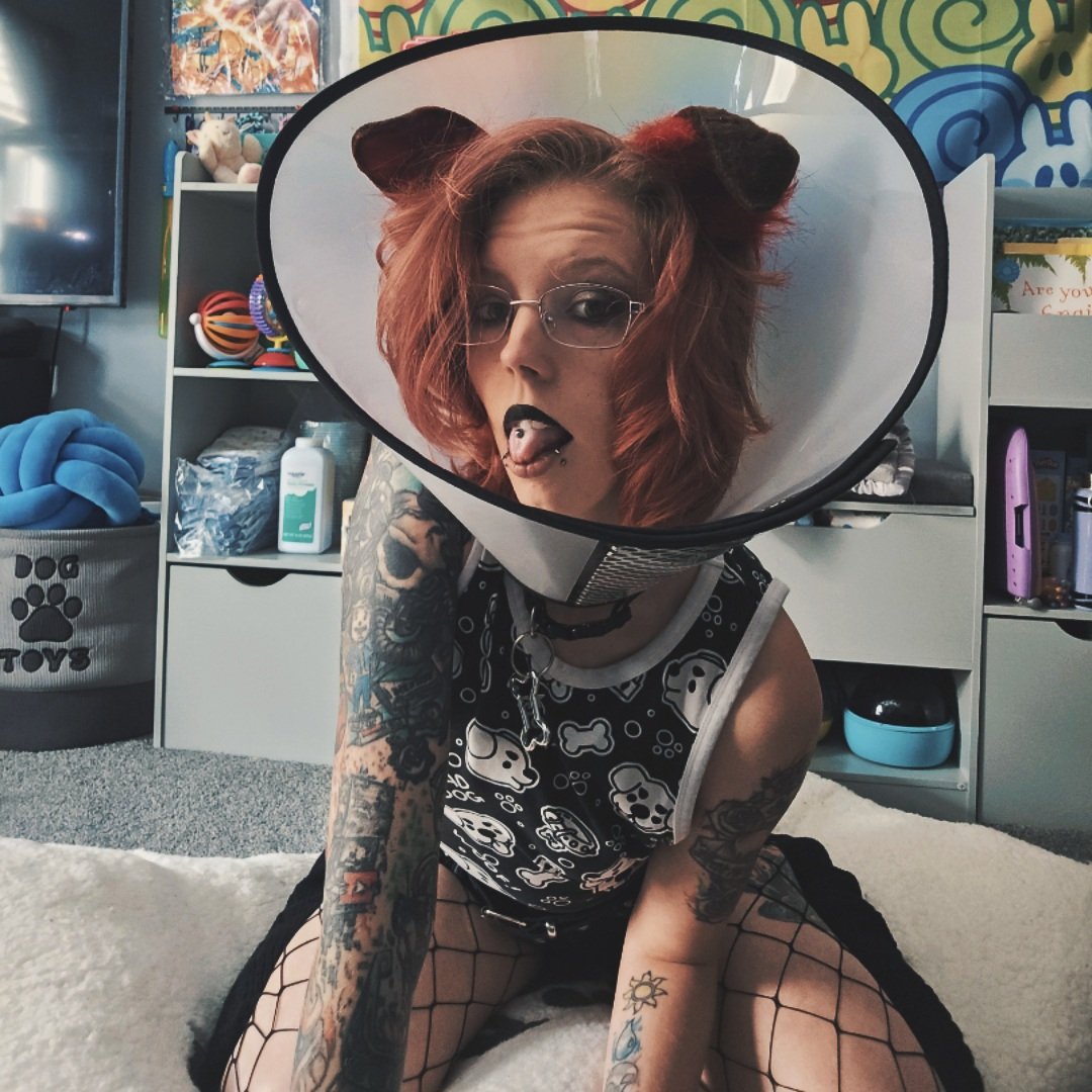 Im_Awkward_tm's tweet photo. Not the cone of shame!!!! https://t.co/kHJ6CaAlSx