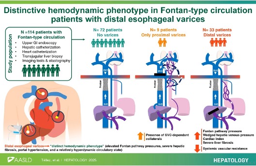 HEPATOLOGY Journal tweet media