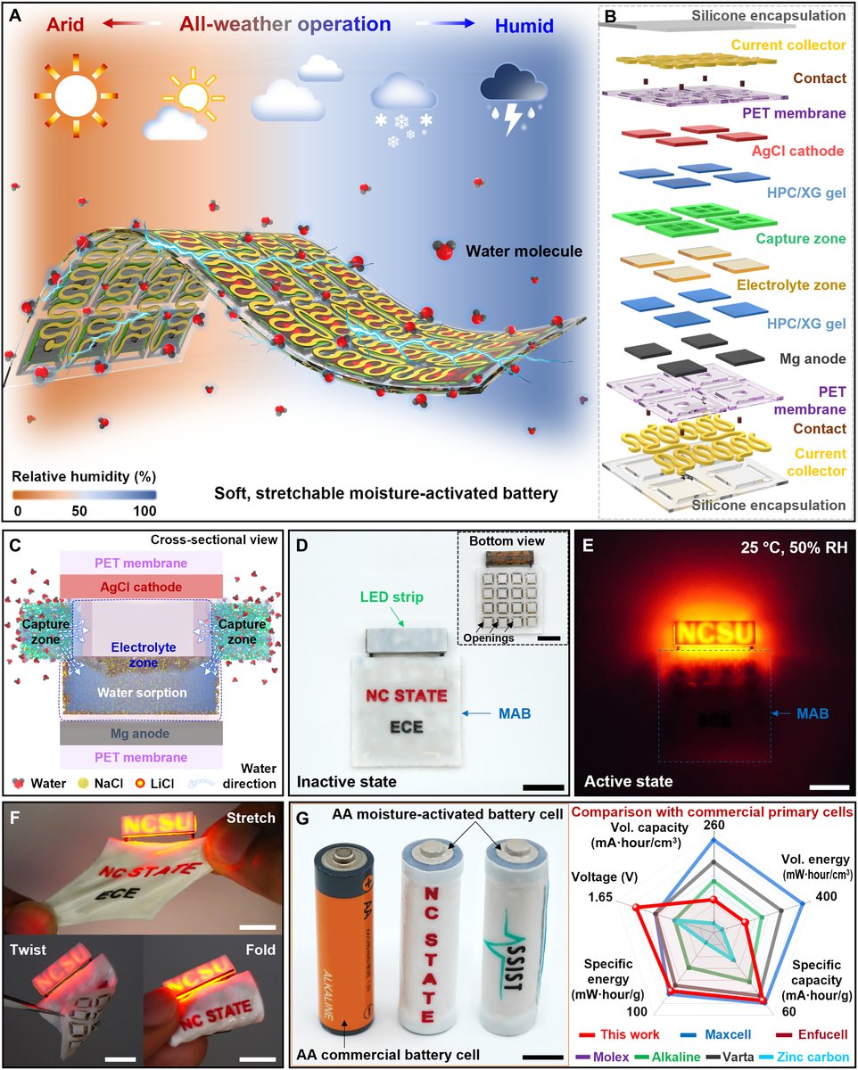 Science Advances tweet media