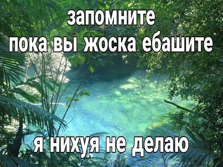gemi_softy's tweet photo. https://t.co/DjLEwgnWxU