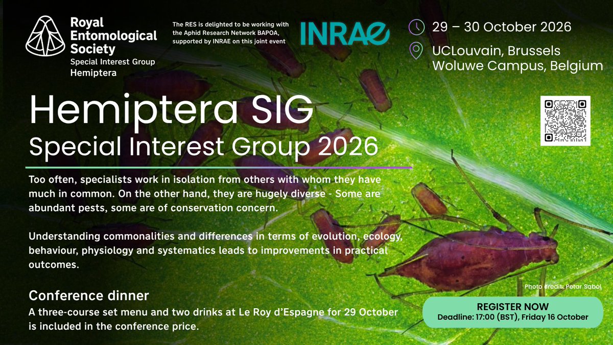Royal Entomological Society tweet media