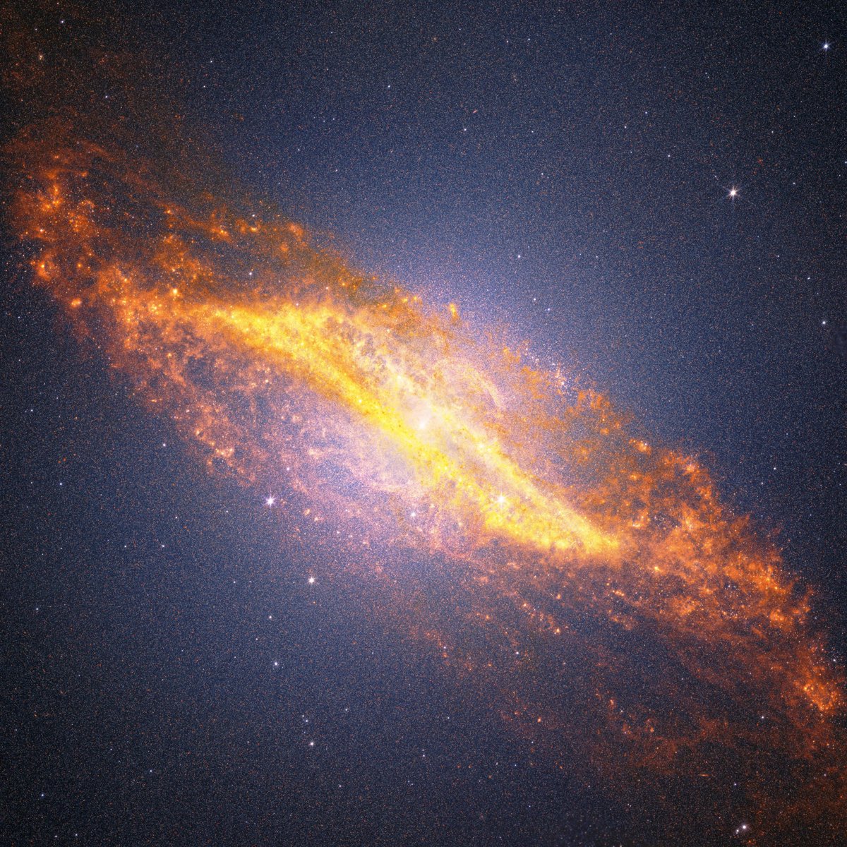NASA Webb Telescope tweet media