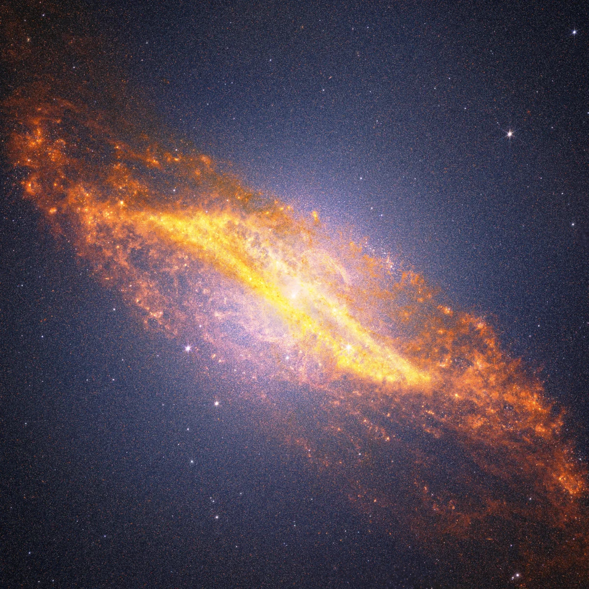 A diagonal image of Centaurus A stretches from the upper left to the lower right against a black background filled with tiny orange, blue, and white points of light. The galaxy is brightest at its center with a white glowing core. A broad band of golden-orange dust cuts across the middle of the galaxy, forming a distinctive parallelogram shape. The dust in this feature is richly textured, with mottled patches, bright knots, and intricate filaments throughout. Just above the center, delicate peach-colored ribbons trace an S-shaped structure. Rather than appearing smooth, the galaxy has a finely speckled texture created by millions of individually resolved stars, which fill the central regions and extend into the surrounding glow. The galaxy’s outer edges are reddish-orange and dissolve into diffuse, cloud-like plumes with feathery textures that stretch beyond the dust lane. Against the surrounding darkness, several bright foreground stars display Webb’s distinctive diffraction spikes.