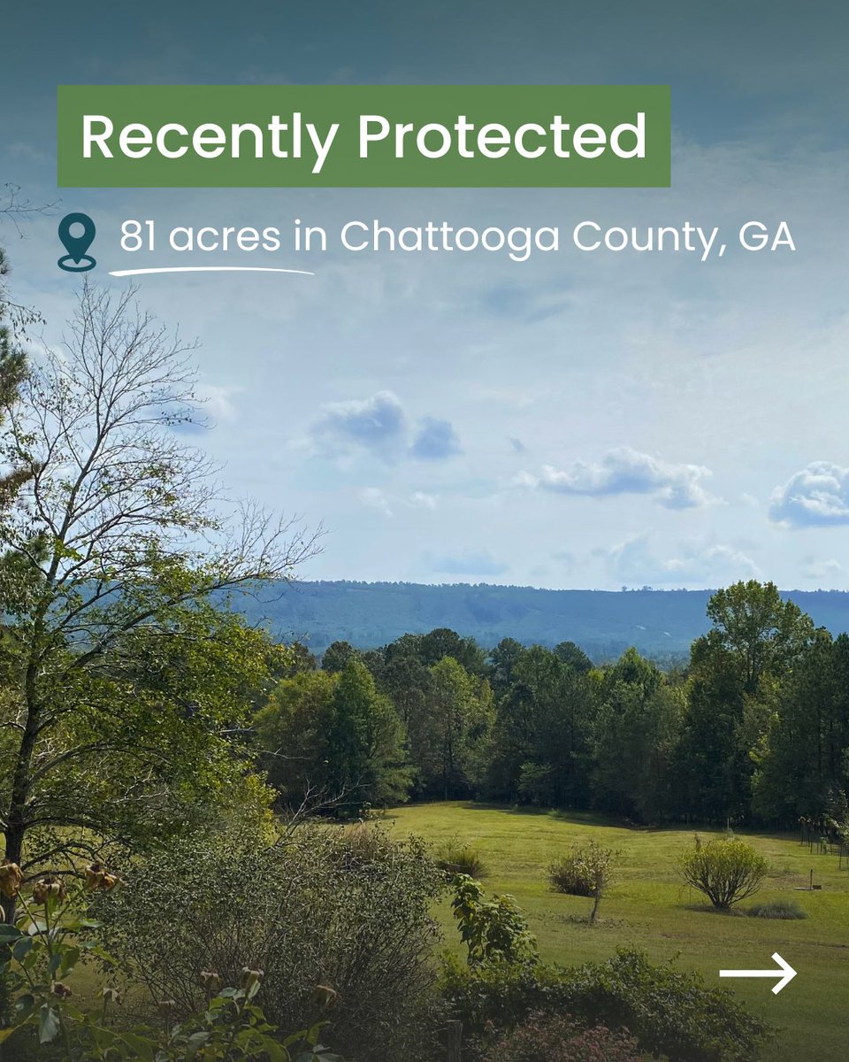 GALandTrust's tweet photo. Earlier this year, GALT protected this beautiful 81-acre property in Chattooga County, GA. https://t.co/ZbneV4i7EH