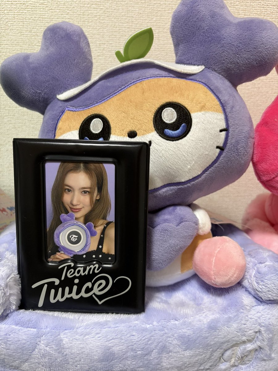 TWICE国立ライブのアプグレ特典で貰ったこれ、、、パスポートケース