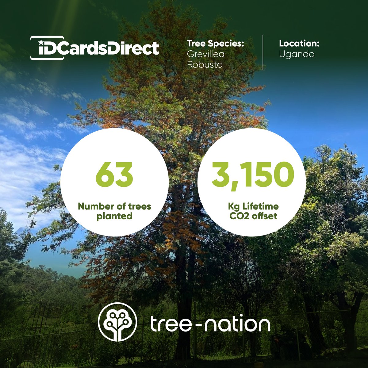 idcardsdirect's tweet photo. A huge thank you to everyone who supported our GreenID initiative throughout Q2! 🌳💚 

Thanks to every purchase from our eco-friendly card and accessories range, we've been able to plant 63 trees and offset approximately 3,150 kg of CO₂. 

Shop here: https://t.co/L6xJ0ShkwI https://t.co/blgYXvib0N