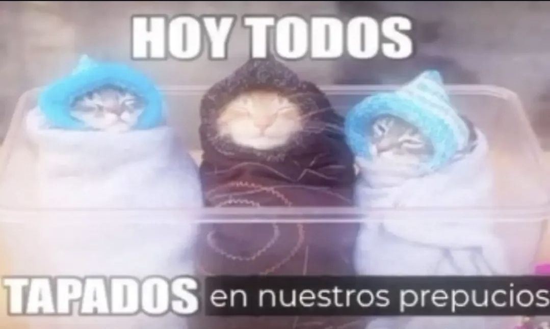 wikipistacho's tweet photo. https://t.co/7V2dJAOOUV