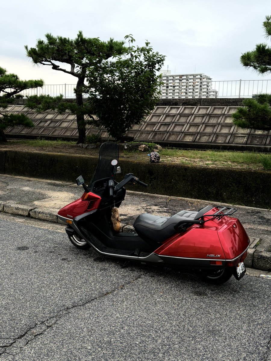 19_SAW_98's tweet photo. かっこいいけど、かっこいいのかわからん。このバイク
けど多分そんくらいがこいつはちょうどいい https://t.co/B9wD7kufen