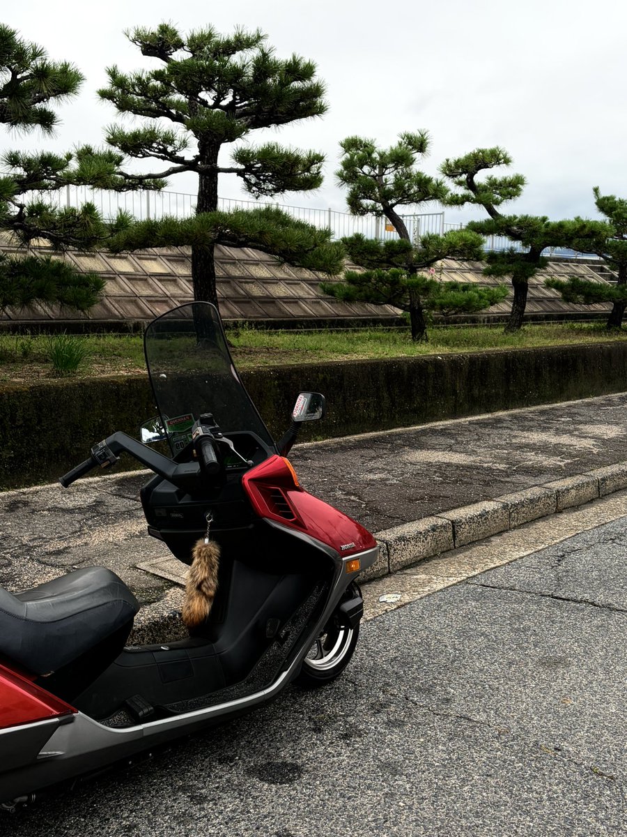 19_SAW_98's tweet photo. かっこいいけど、かっこいいのかわからん。このバイク
けど多分そんくらいがこいつはちょうどいい https://t.co/B9wD7kufen
