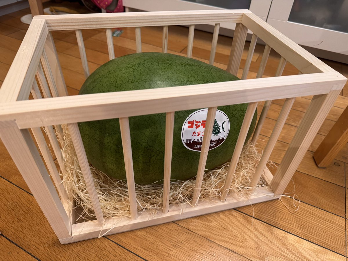 家に「ゴジラのたまご」なるスイカが届いて子どもたち大喜び🍉ナイス