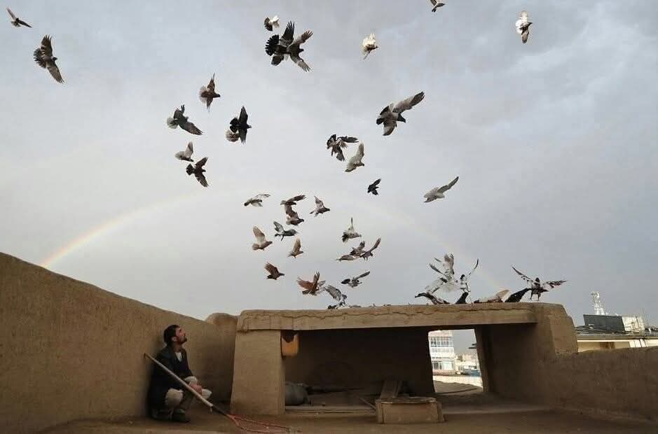 al733029's tweet photo. أيها الغد ...!
 إنَّ لنا آمالًا كبارا وصغارا، وأمانيَّ حسانًا وغير حسانٍ، فحدثنا عن آمالنا، أين مكانها منك..؟ 
وخبرنا عن أمانينا ماذا صنعت بها؟ أَأَذْلَلْتَها واحتقرتها، أم كنت لها من المكرمين؟🕊🌿

- المنفلوطي https://t.co/srRXmo7fyj
