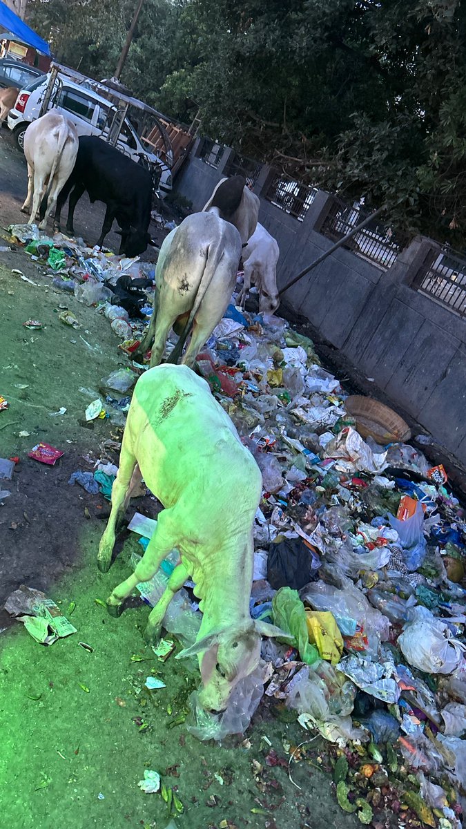 Gejhasector93's tweet photo. Reminder-1 
@noida_authority @CeoNoida @dmgbnagar @PankajSinghBJP @myogiadityanath @CPCB_OFFICIAL @CMOfficeUP 
नोएडा अथॉरिटी हेल्थ डिपार्टमेंट से पूछना चाहता हूँ दूसरे दिन का हाल देखे गेझा बारात घर के पास बदबू से हाल बेहाल आख़िर उसे यहाँ से कब शिफ्ट करवाओगे ? क्यों सुनवाई नही?? https://t.co/1jSbSmlwuc