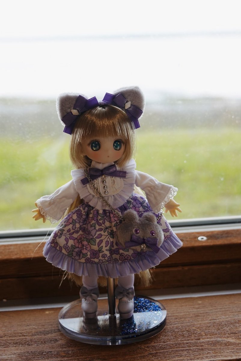 sai_muka's tweet photo. 北海道の旅、楽しかった♪
パープル系のドレスが欲しくて、やっと手に入れた🐇と🐈。うちの星空ちゃんにはぴったり(^ ^)
@monaka_mc 
#シュガーカップス
#北海道観光 https://t.co/fphgkKIHjc