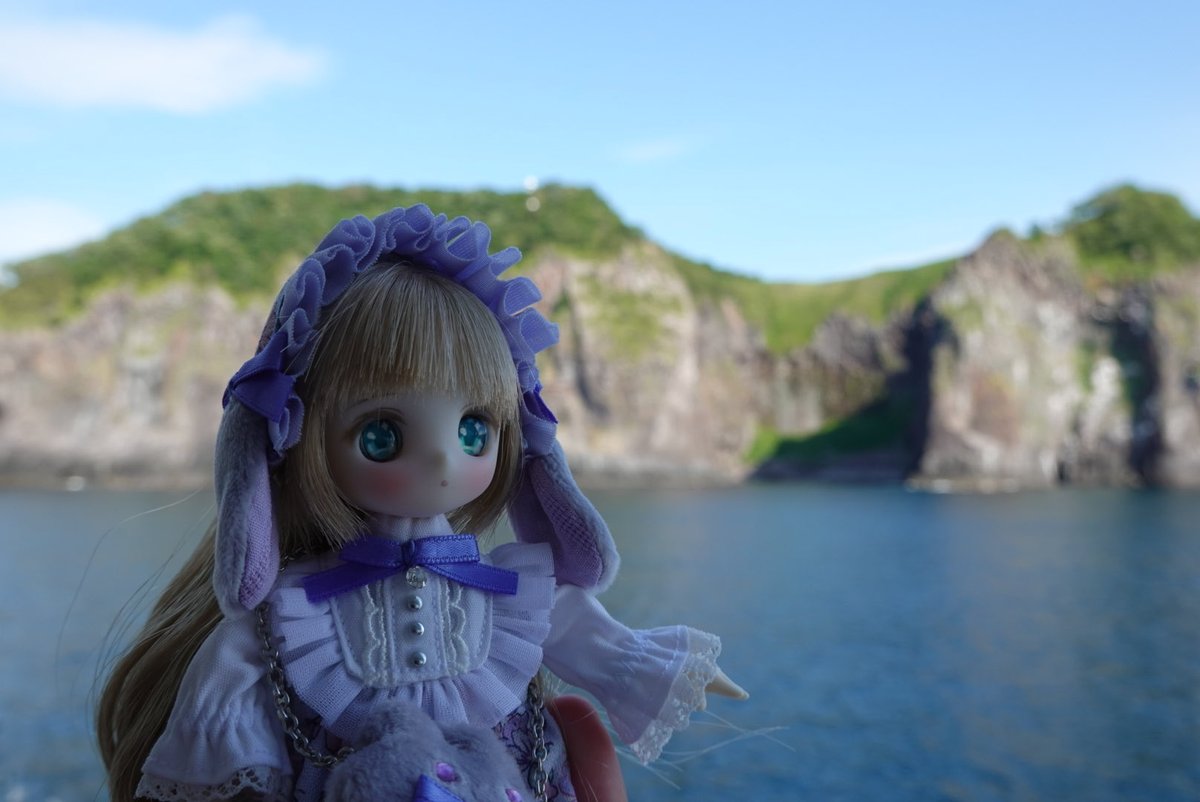 sai_muka's tweet photo. 北海道の旅、楽しかった♪
パープル系のドレスが欲しくて、やっと手に入れた🐇と🐈。うちの星空ちゃんにはぴったり(^ ^)
@monaka_mc 
#シュガーカップス
#北海道観光 https://t.co/fphgkKIHjc
