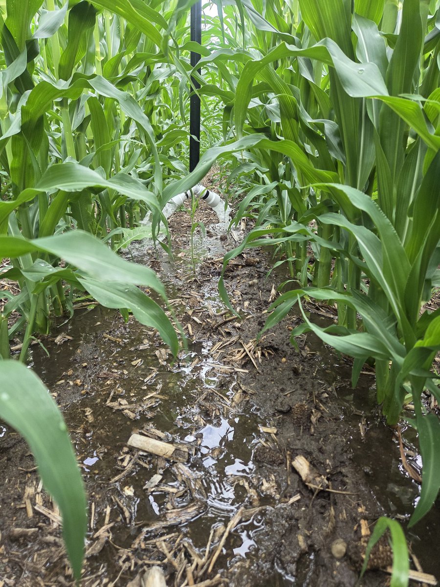 JRDFarms's tweet photo. Makin' it rain! See it in action July 8 with @GRRobotics https://t.co/MdbTStV2kv https://t.co/lHhp8uOvBz