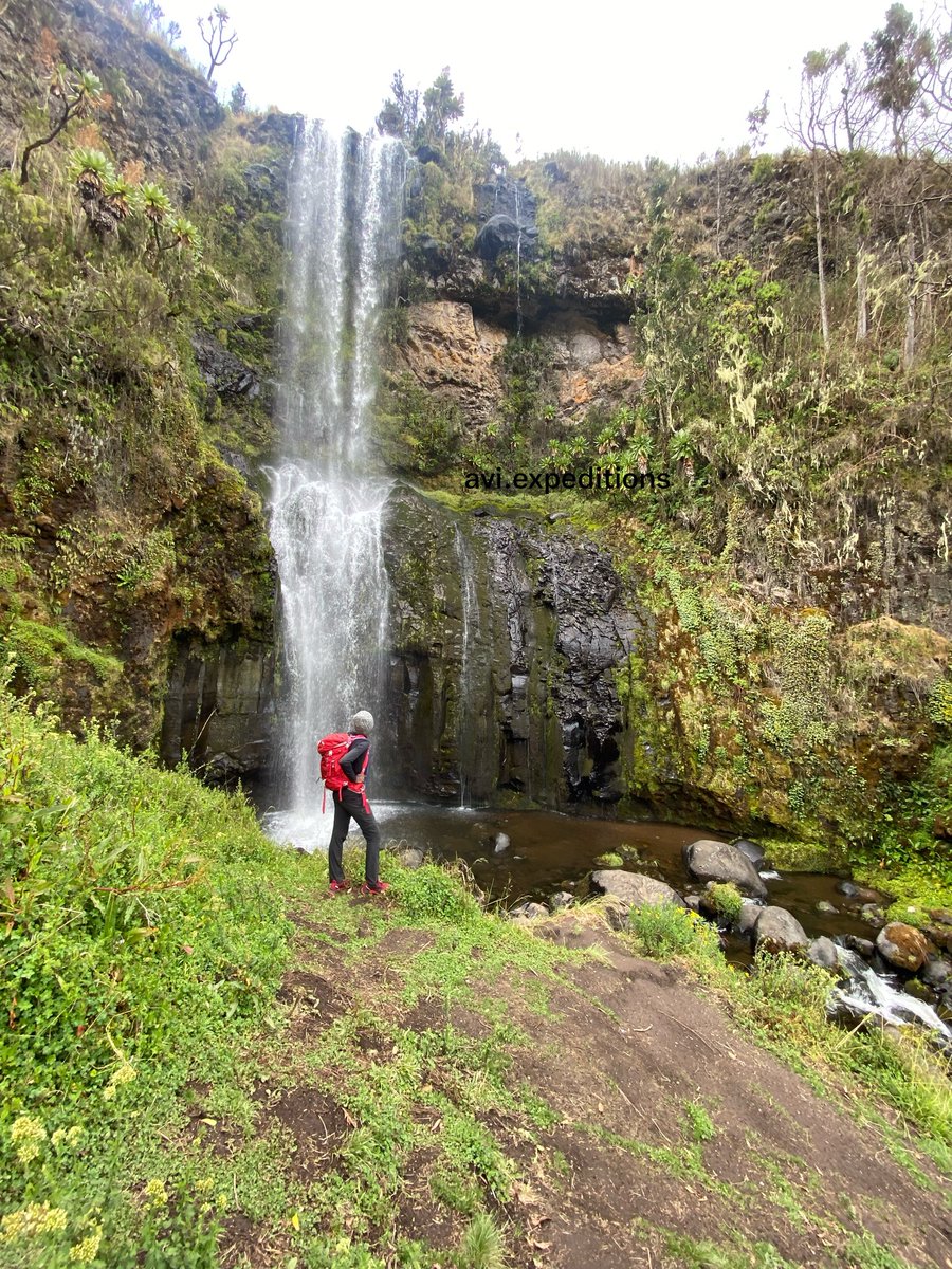 agoro__'s tweet photo. We shall be hiking Lake Ellis and Nithi Falls this coming Saturday with @AviExpeditions! A Mount Kenya day hike via the Chogoria route. 
Hike is beginner friendly. Share with your hiker friends😊
See you there! https://t.co/e3E2RS49r7