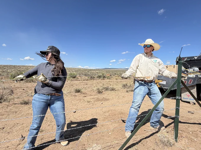 Two people in casual outdoor clothing stretch a wire fence in a dry, open landscape under a clear blue sky.