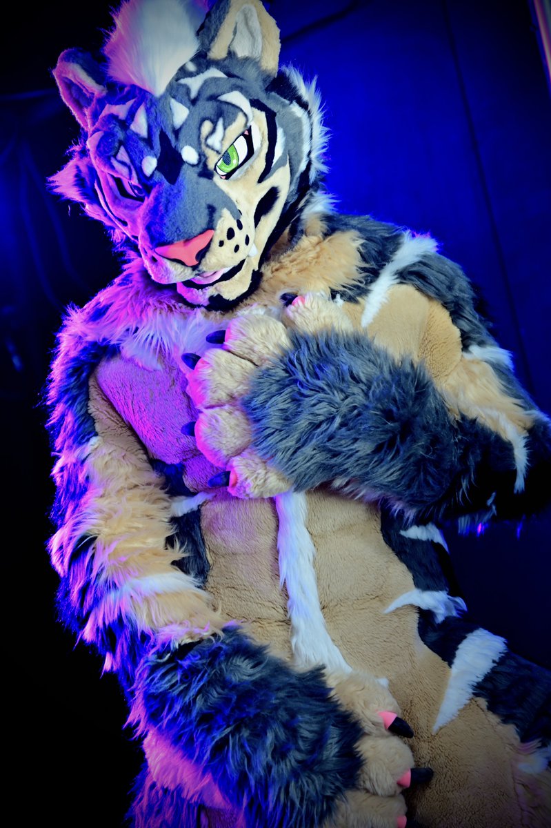 ZephTiger tweet picture