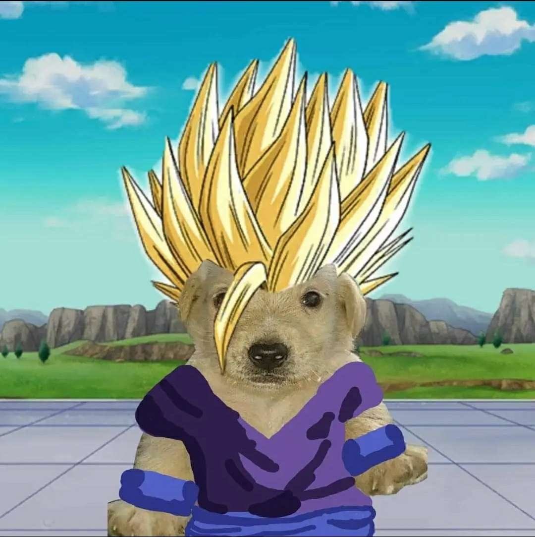 JotchuaTheMeme tweet picture