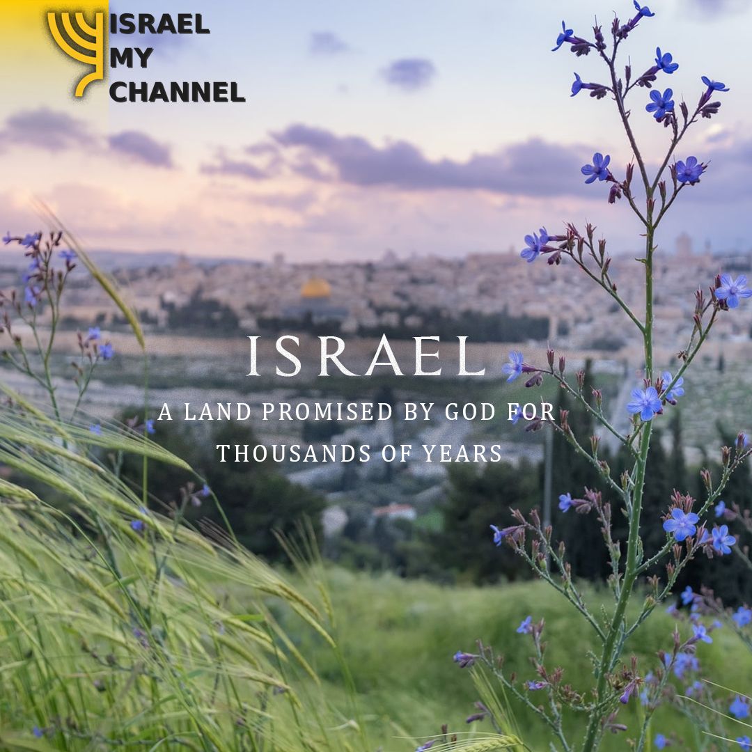 Israel MyChannel (@IsraelMychannel) / Posts / X
