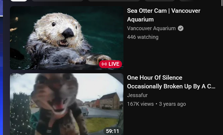 classicherri's tweet photo. incredible things happening in my yt recs https://t.co/tXs6N7BmG5