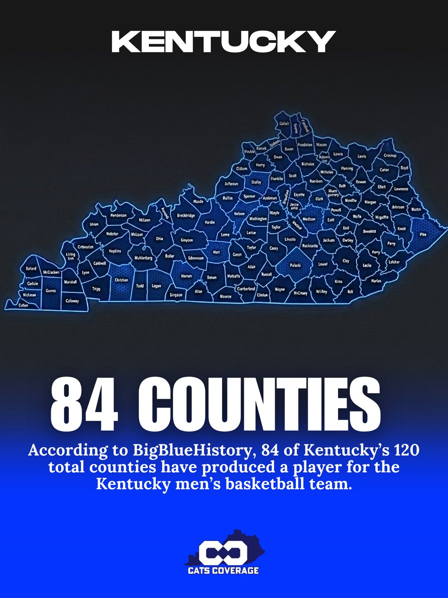 Cats Coverage tweet media