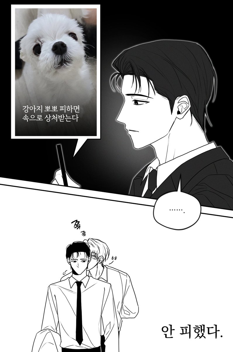 Seoante__'s tweet photo. 변호됨 강차
강아지 뽀뽀 피하면 속으로 상처받는다 https://t.co/IzEkNnFSfD