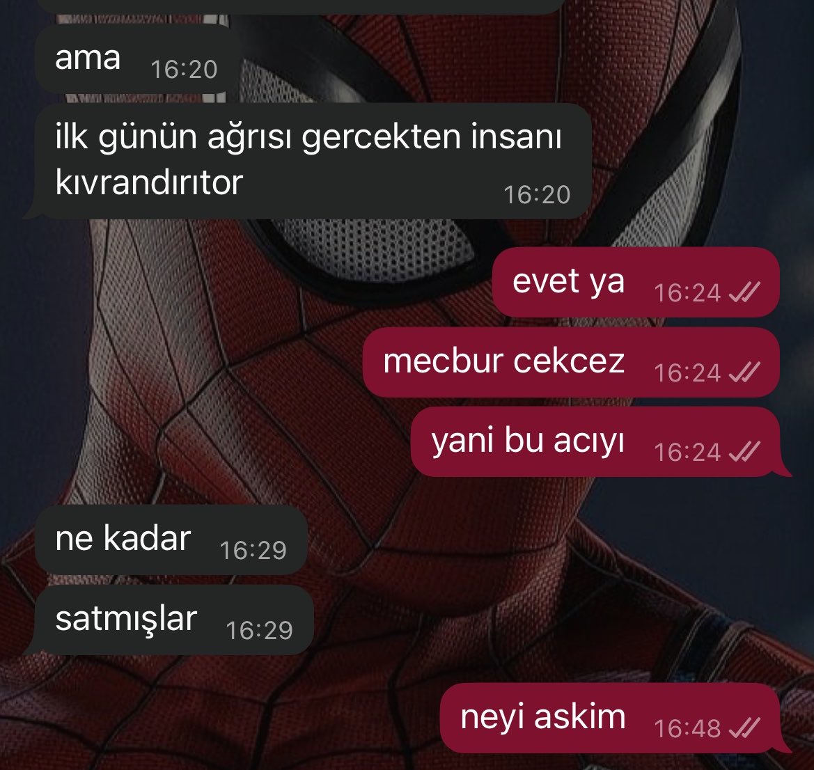 çiğdem 🐺 tweet media