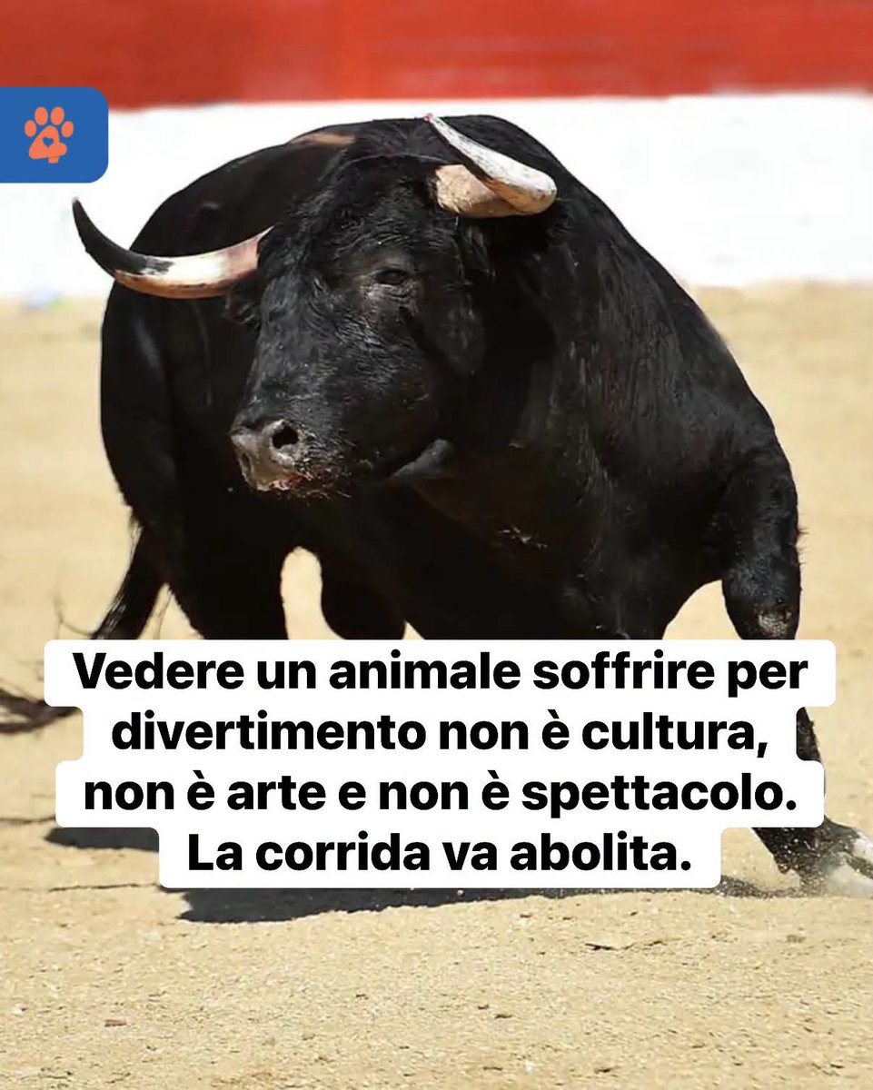 MariaRo85819362's tweet photo. Non è spettacolo. E' sofferenza. BARBARI !!!!! https://t.co/Ycv9TWsaMJ