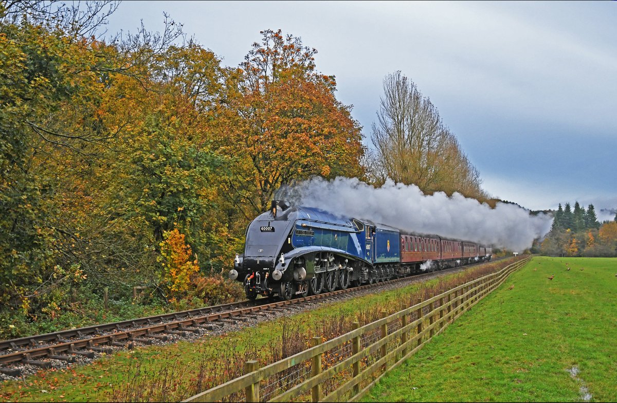 nymr's tweet photo. 🚂 The Annual Steam Gala returns from 24 to 27 September.

Four days celebrating Britain's steam heritage, with three guest locomotives joining:

No. 60007 Sir Nigel Gresley
No. 4079 'Pendennis Castle'
T3 class No. 563

1, 2, 3 &amp; 4-day tickets: https://t.co/Jf928vH1QN https://t.co/AK3WdQJQL6
