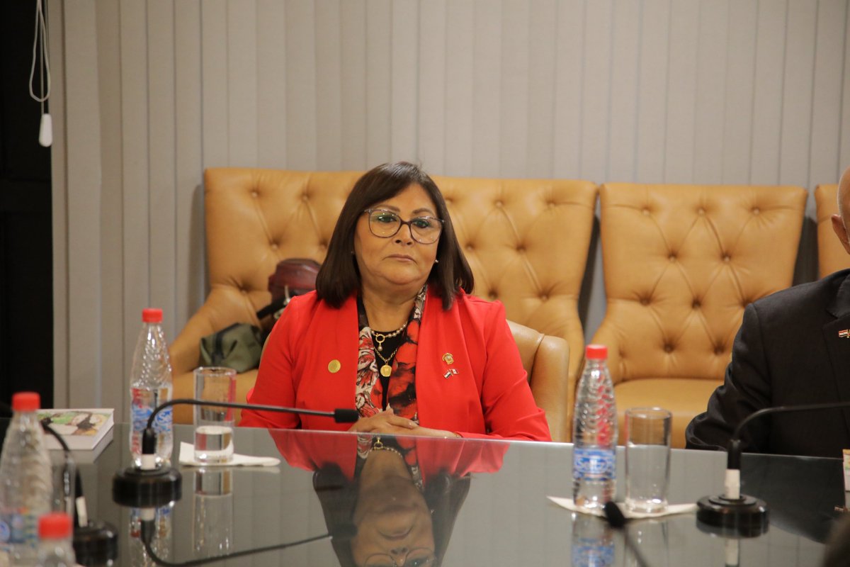 SenadoresPy's tweet photo. El sen. Juan Carlos Galaverna, presidente de la Comisión Parlamentaria de Amistad Paraguayo - Peruana, en compañía de miembros, recibe la visita oficial de una delegación de Congresistas de la República de Perú, integrantes de la liga Parlamentaria de Amistad Perú - Paraguay. https://t.co/aCSqu8hpKH