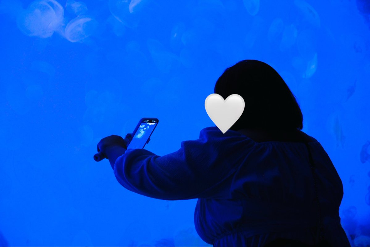 ___0I22's tweet photo. 水族館行くと自分はアリエルだって勘違いしちゃうウォレ🧜🏼‍♀️🐚🪸💖

#ぽちゃ専 #ぽっちゃり女子
#ぽっちゃり好きな人と繋がりたい
#ぽっちゃりさんと繋がりたい
#ぽっちゃり女子と仲良くなりたい
#ぽっちゃり好き男子 #BBW https://t.co/WFT7igSaG2