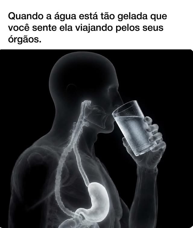 shitpostverdade's tweet photo. https://t.co/WChx5q4tq4