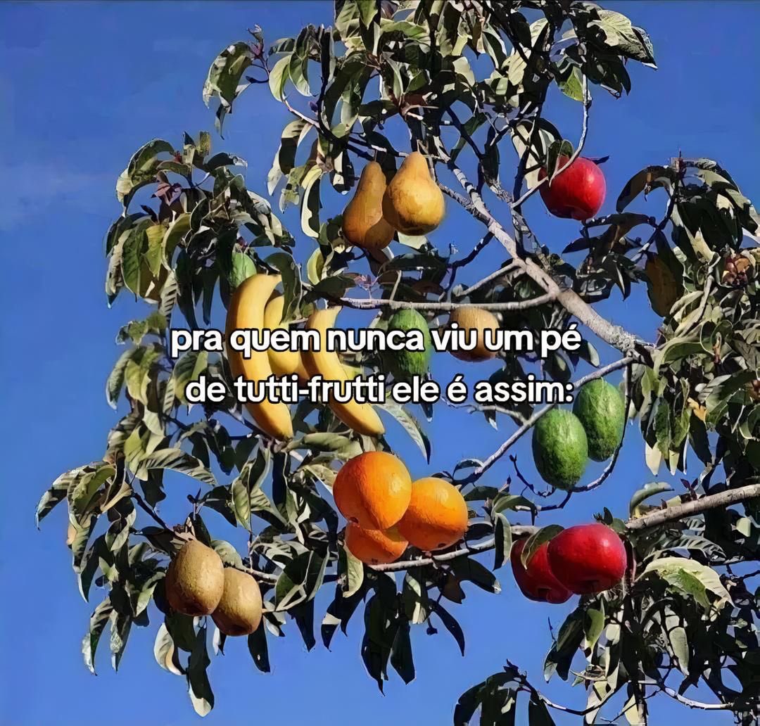 shitpostverdade's tweet photo. https://t.co/hpPjQXuB2S
