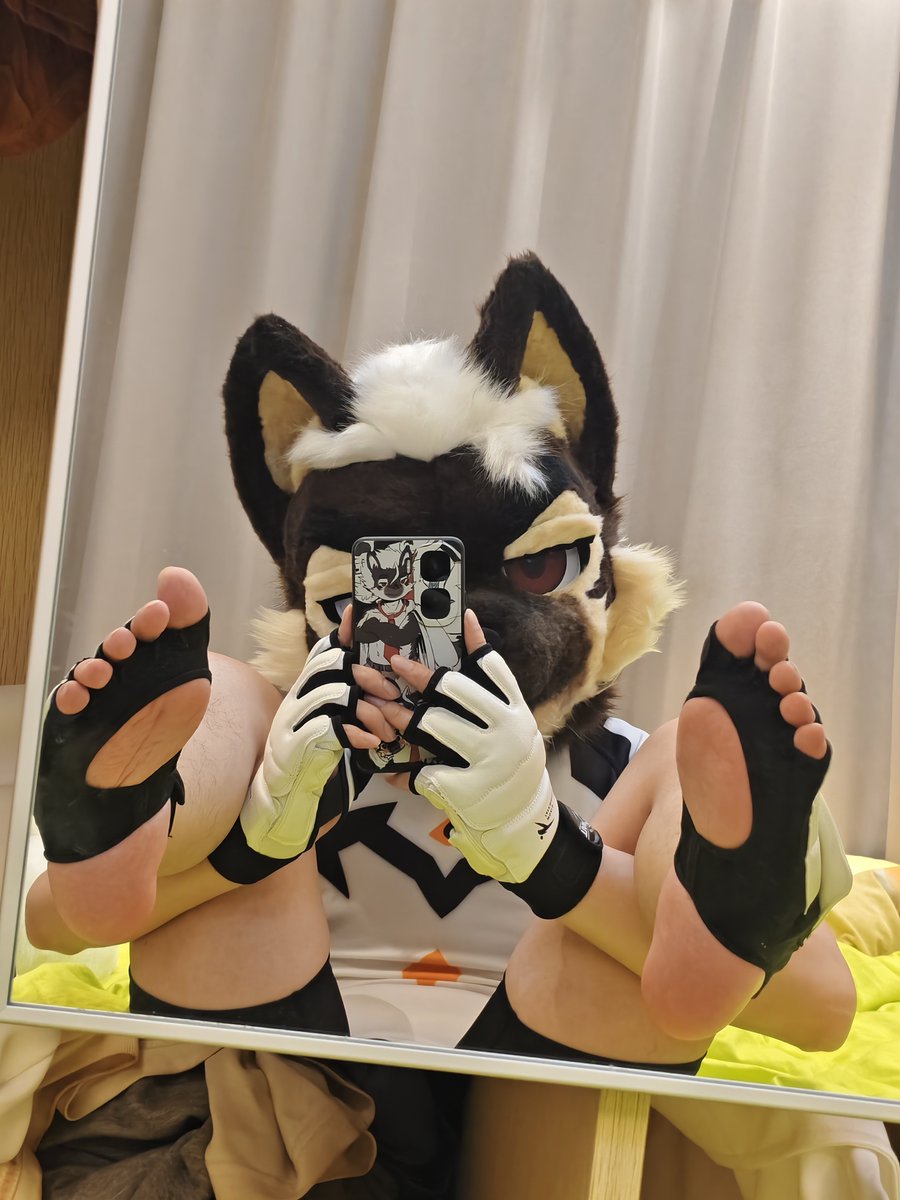 猪草财宝 tweet media