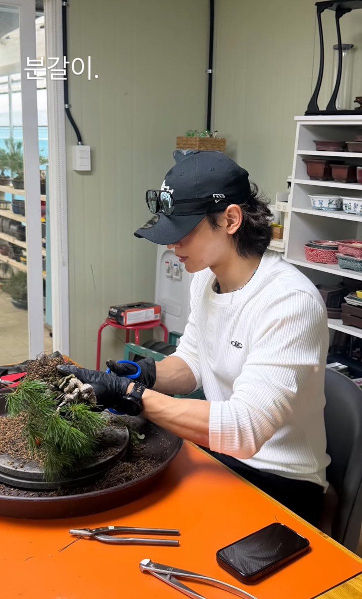 han__5hinee's tweet photo. of all the things i thought Minho would get into… plants was at the very bottom of the list https://t.co/yVZYXiIUtM