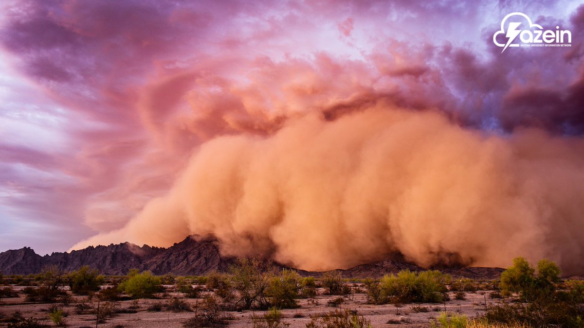 AzEIN's tweet photo. 🌩️ Monsoon Safety Tip: If you hear thunder, lightning is close! Stay indoors, avoid flooded roads, and prepare your emergency plan.
#MonsoonSeason #FloodSafety #AZWeather
🔗 https://t.co/Gh3AWvqsJI https://t.co/AF5FwOA0mb