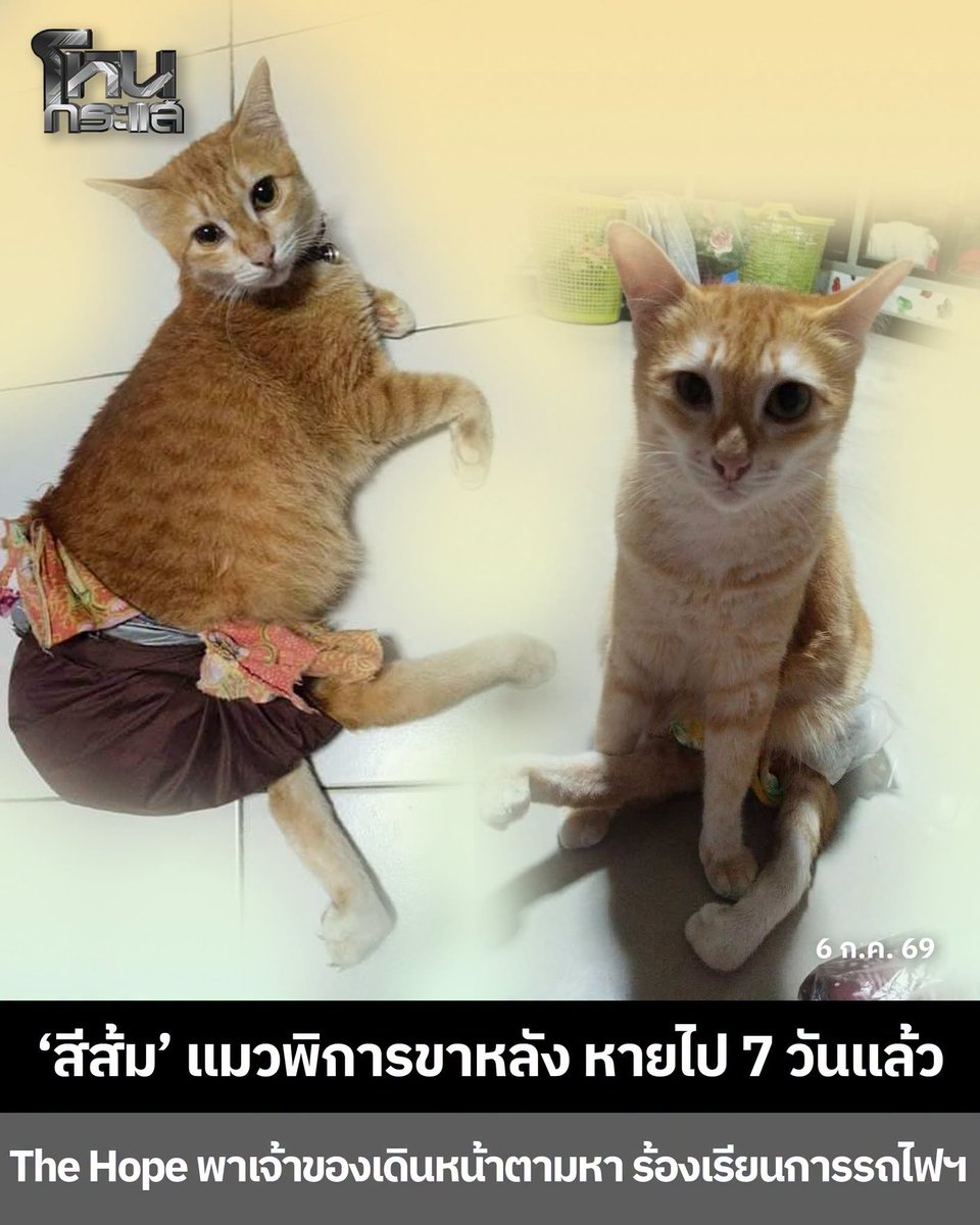 StangtheG's tweet photo. อ่านข่าวแล้วสงสารแมวจังทำไมเรามีพนักงาน ที่ไร้ความรับผิดชอบได้ขนาดนี้กันนะ https://t.co/5sSXjN9CFx
