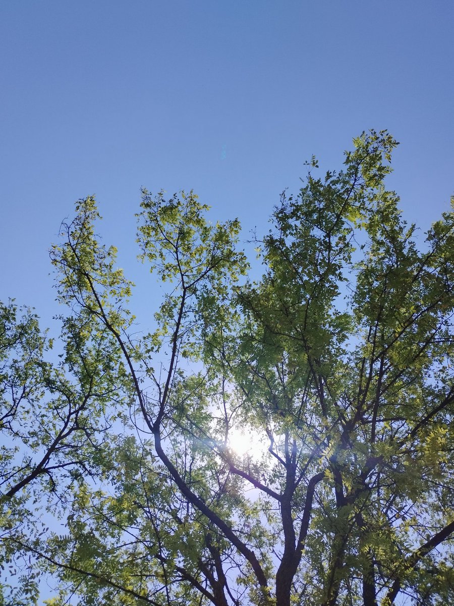 LOLA_CULE's tweet photo. Un paseo por mis nubes.
#MiCielo Desde mi terraza.
#Lunes Sofocante!Así empieza la #Semana
Y seguirà.(Por "desgracia"!)
El sol arde!Busca la sombra.
Hay que hidratarse,por dentro y por fuera,y protegerse..
(Iguálmente.)Además de "calmarse",no queda otra!
#Cuidate 🩵 #Calor 🧡 https://t.co/KAHdXmBOTU