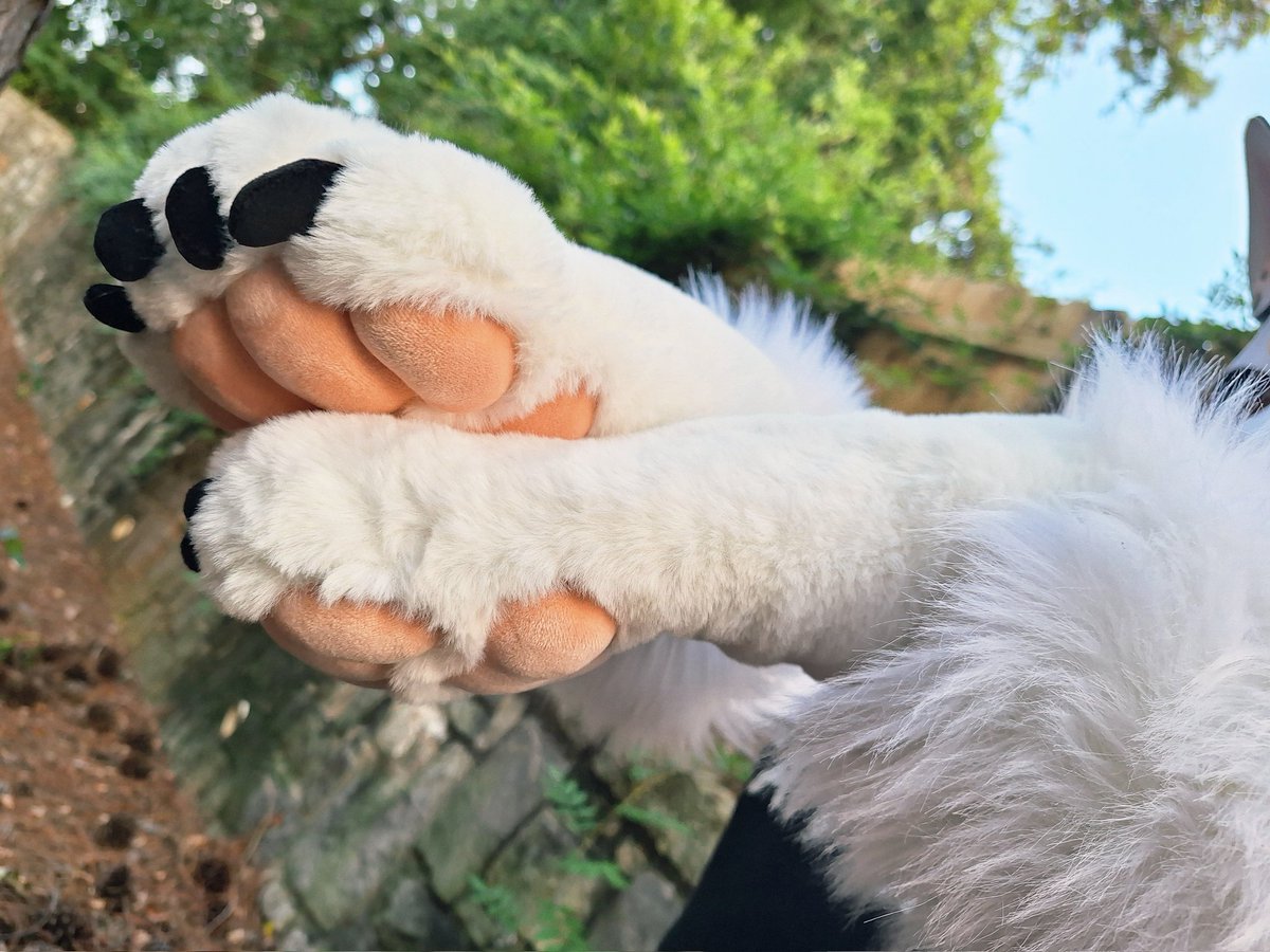 SalmonRunArt's tweet photo. My paw commissions will be all complete by the end of the month, so I want to go ahead and line up the next slots! 

October eta, shipping free within the US 📦

Mitten handpaws: $500
Slender Sockpaws: $600
Digitigrade Slender Sockpaws: $700

DM with a ref to claim a spot! https://t.co/aEsnOohGwd