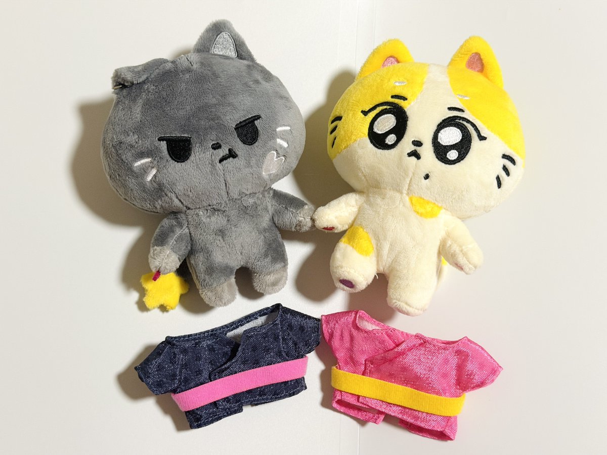 gbmagnoria's tweet photo. These little guys can get changed after just 30 seconds of warm air from a hair dryer.👍

#ENHYPEN #ENCHIN #WONCHU  #NoxStar https://t.co/4879rnO5Gm
