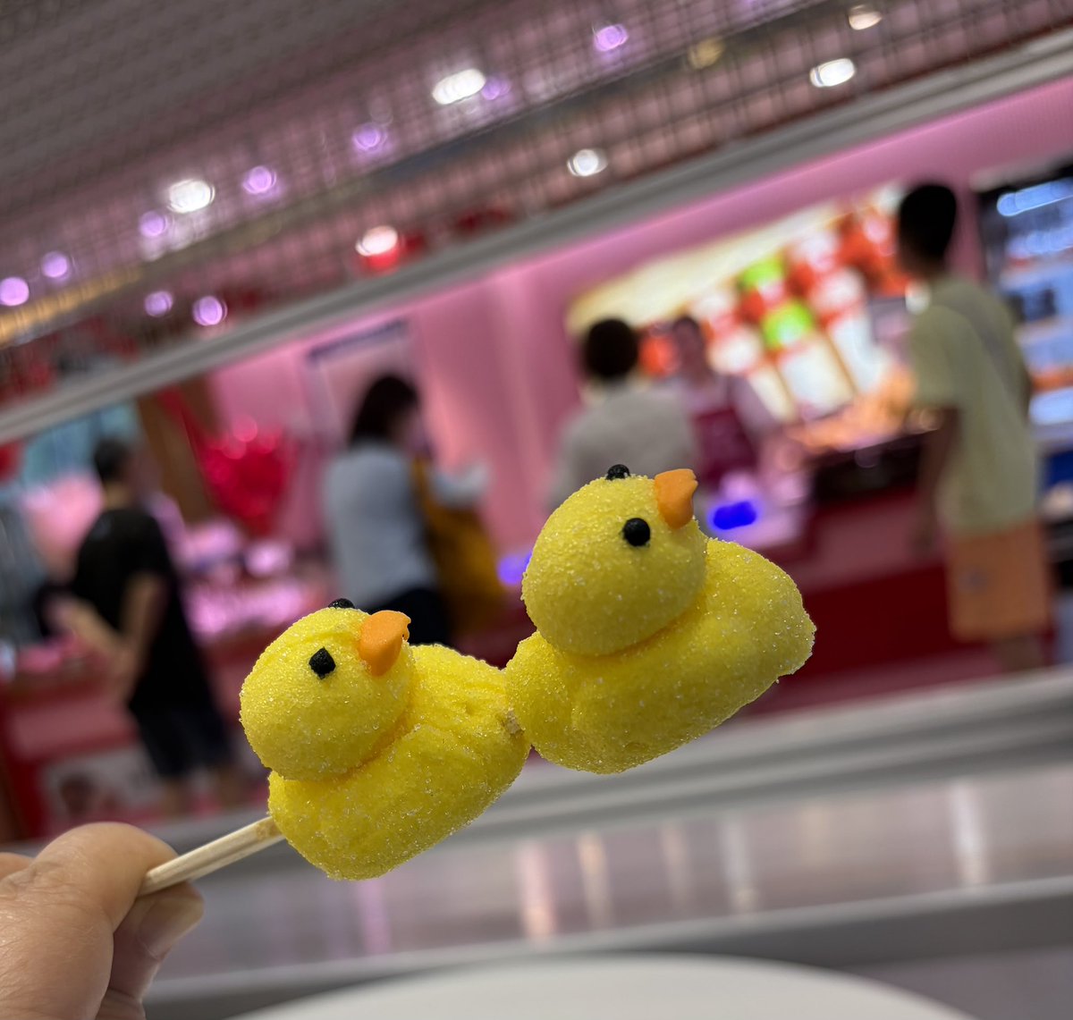 souco8's tweet photo. 生の果物と怪しいものを食べるなとあれほど…(という長男の声は聞こえなかったとする) https://t.co/lkRuY0LHFj