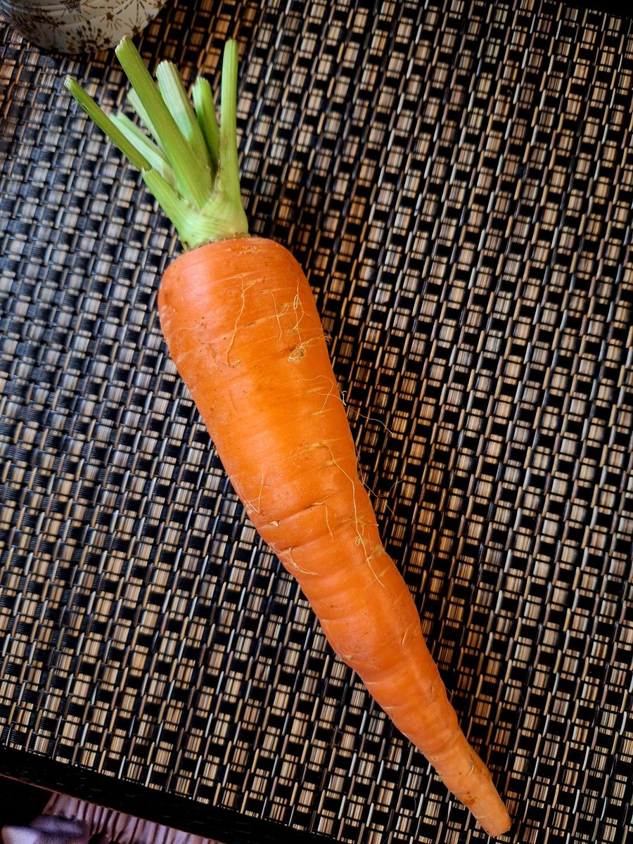 amacana's tweet photo. こっちはヨガ友の夫氏が趣味の畑で豊作だった堀り立て人参🥕をくれたので作ったラペ。バックスバニーの🥕みたいでかわいい☆ https://t.co/T7XmDnUUG0