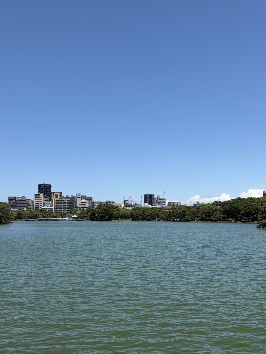 nasugar__'s tweet photo. 大濠公園近くの古民家カフェ

 #日常垢  #日常垢さんと繋がりたい https://t.co/hI8ADVuIzQ