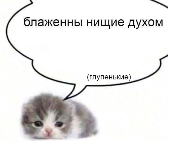 steinyzxc's tweet photo. @pustotatvoya https://t.co/jFglBly6Yd