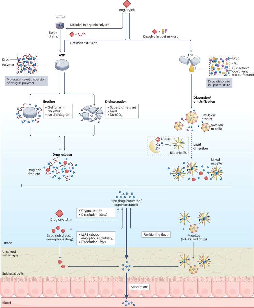 Nature Reviews Drug Discovery tweet media
