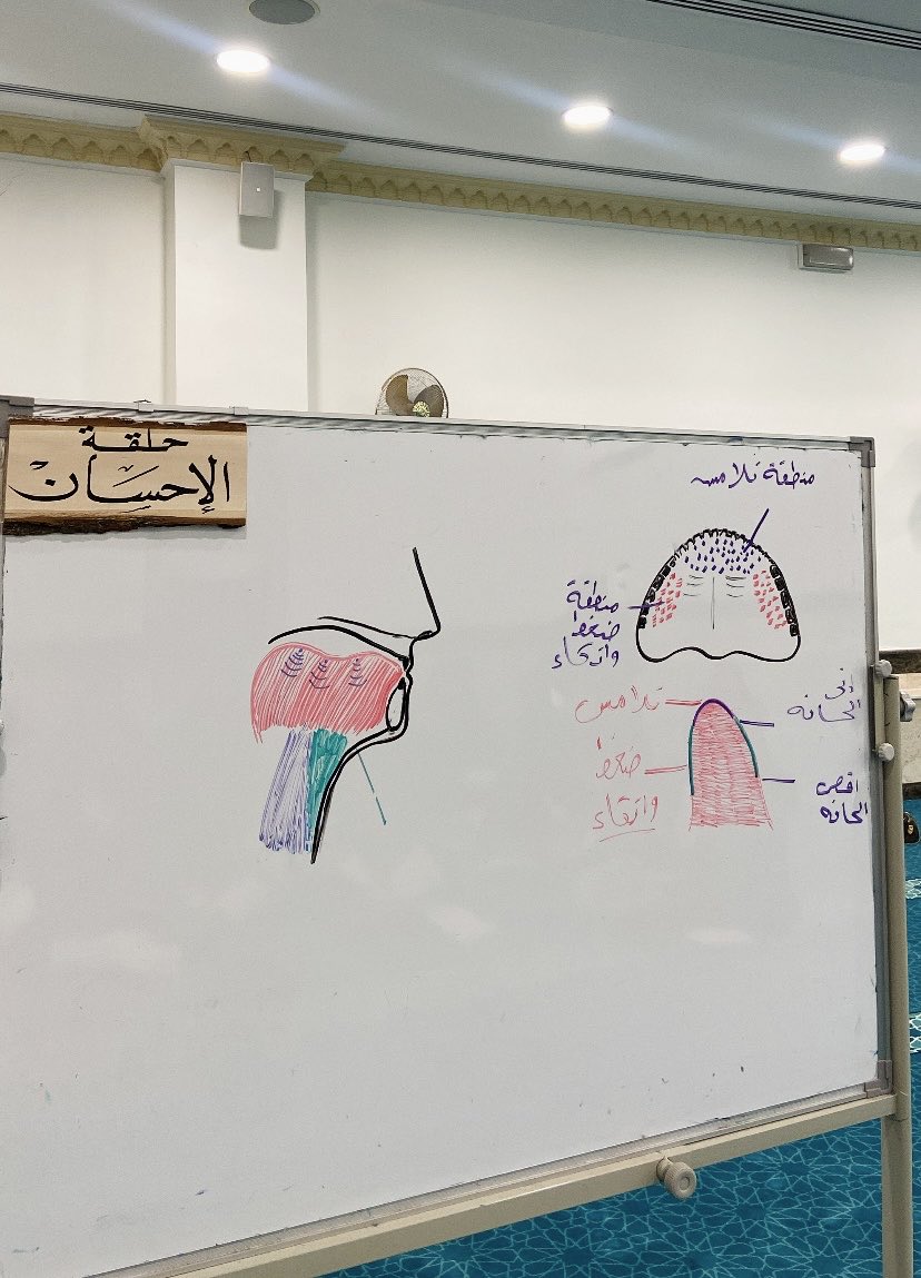 m9hmn's tweet photo. اللهم افتح لي وعلمنـي وجعله يجري على لسانـي سليقة أنت وليُّ ذلك والقادر عليه ❤️
#تلاوة https://t.co/XF8qP69DqH