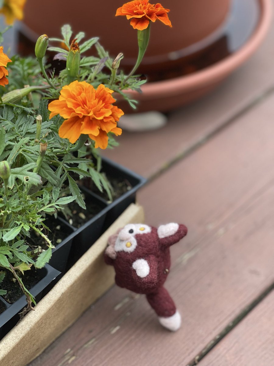 clarfy64's tweet photo. Needlefelted a little wolf :)

A game about love should not be controlled by words of hate

#BringValkoBack https://t.co/RMuZxNZvx5